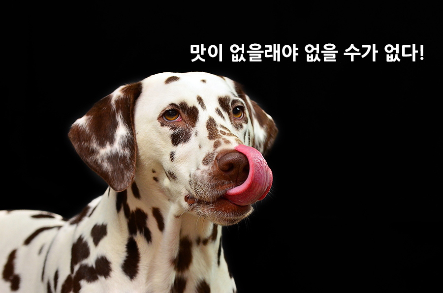 【中級】面白い韓国語表現「絶対美味しい」を覚える