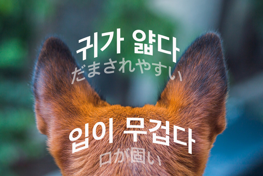【中級】韓国語で「 だまされやすい /  口が堅い」は？